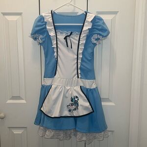 🚫♻️Alice in Wonderland Dress Costume